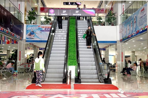 南疆首個保稅商品直銷中心啟動運營，引領庫爾勒經濟技術開發區產業新格局